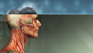 Human